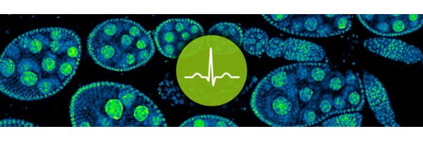 abberior LIVE