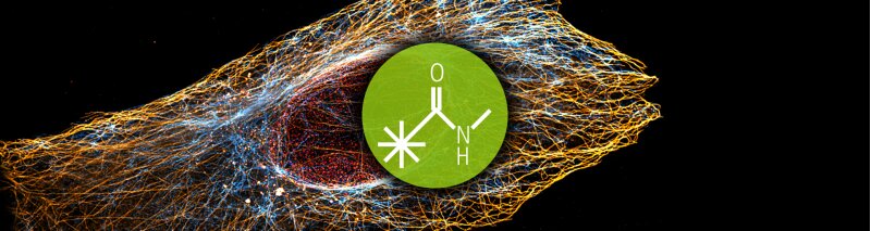 Chemical Reactive Dyes