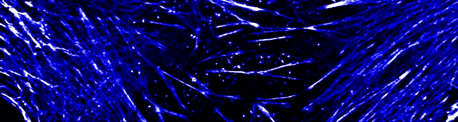 Blue (430-500 nm)