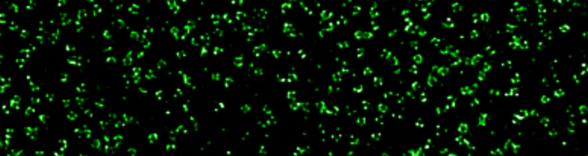 Green (500-550 nm)