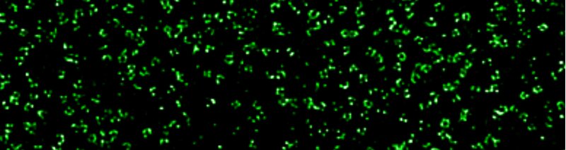 Green (500-550 nm)