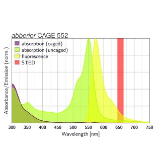 abberior CAGE 552, maleimide, 1 mg