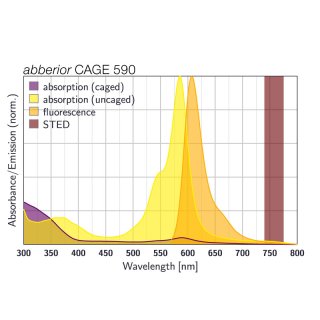 abberior CAGE 590