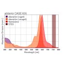 abberior CAGE 635