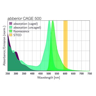 abberior CAGE 500, NHS ester, 1 mg