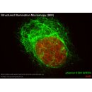 abberior STAR GREEN, phalloidin, 20 µg