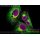 abberior STAR GREEN, phalloidin, 20 µg