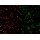 abberior NANOPARTICLES