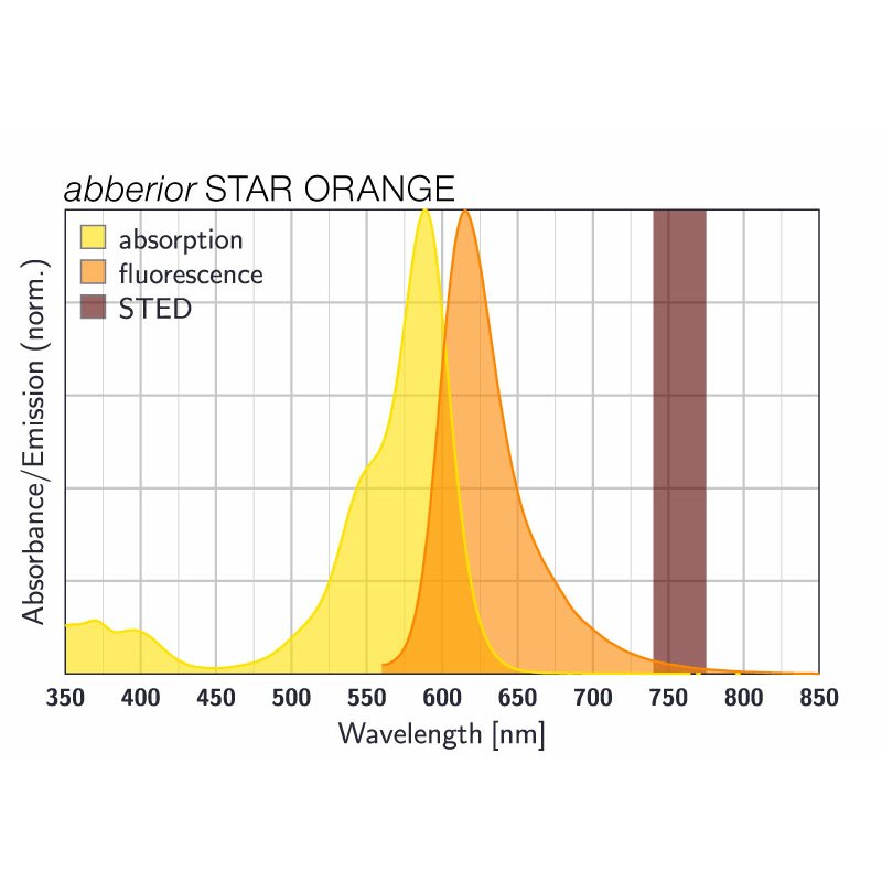 abberior STAR ORANGE, membrane, 5 nmol