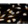 abberior STAR RED, DOPE, 500 µg