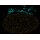 abberior CELLS 2 color