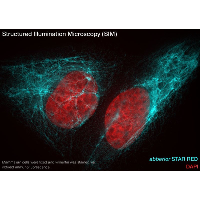 abberior STAR RED, nanobody FluoTag-X2 anti-Rabbit IgG, 500 L (5 M)