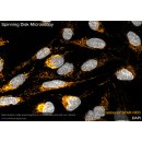 abberior STAR RED, nanobody FluoTag-X2 anti-Rabbit IgG, 500 L (5 M)