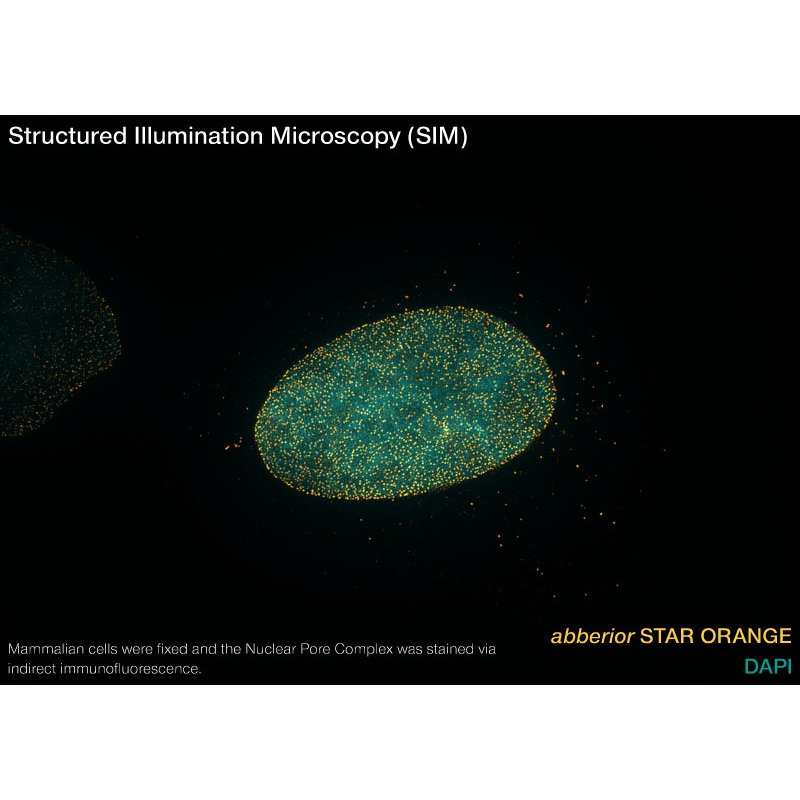 abberior STAR ORANGE, nanobody FluoTag-X2 anti-Rabbit IgG, 500 L (5 M)