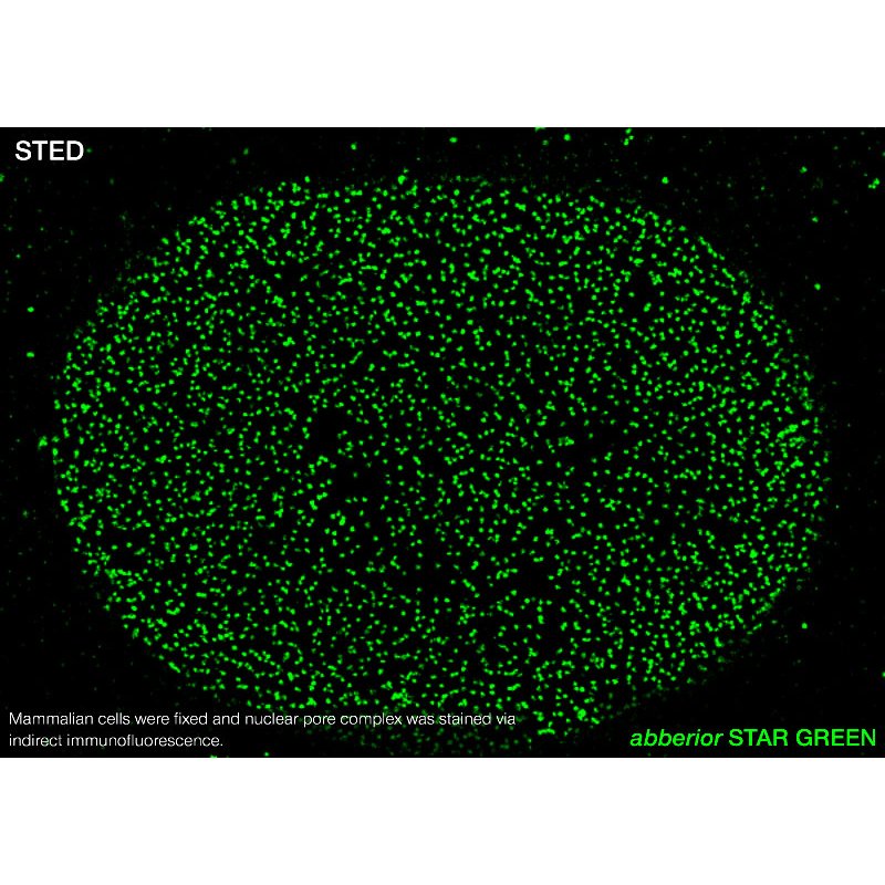 abberior STAR GREEN, nanobody FluoTag-X2 anti-Mouse IgG1, 500 L (5 M)
