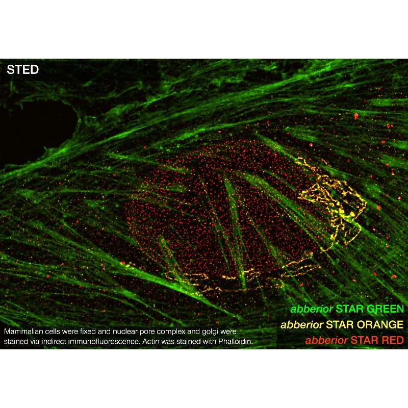 abberior STAR GREEN, nanobody FluoTag-X2 anti-Mouse IgG1, 500 L (5 M)