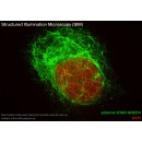 abberior STAR GREEN, nanobody FluoTag-X2 anti-Mouse IgG1, 500 L (5 M)