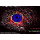 abberior STAR RED, nanobody anti-mouse IgG, 30 l (1 mg/ml)