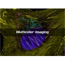 abberior PLEX 4 color Kits