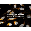 abberior PLEX 4 color Kits