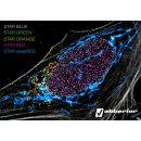 abberior PLEX 5 color Kit